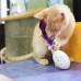 Роботизированная игрушка для котов. SHRU Intelligent Cat Companion 9